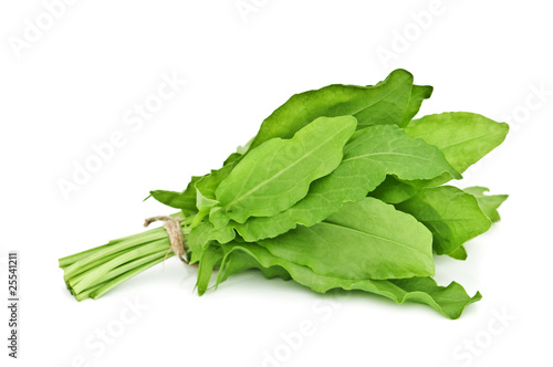 Fotografie sorrel