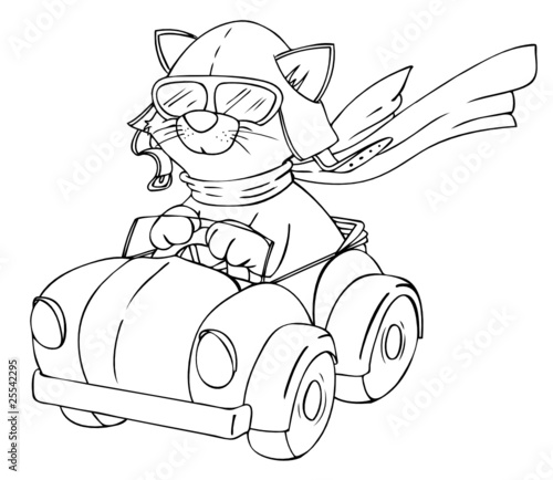 Katze, Auto, fahren, Rennfahrer, Autofahren, Autofahrt