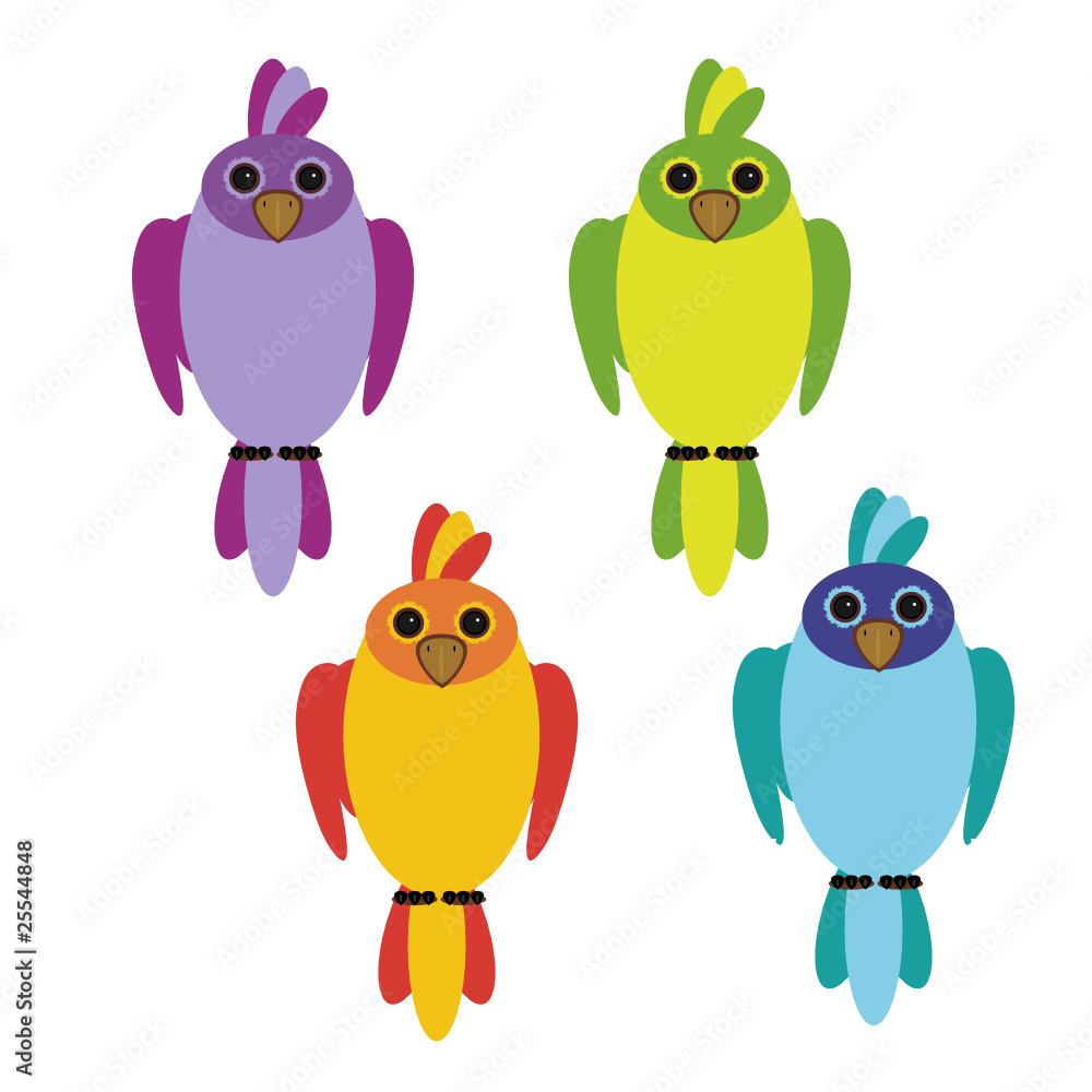 four parrots on white background four parrots on white background