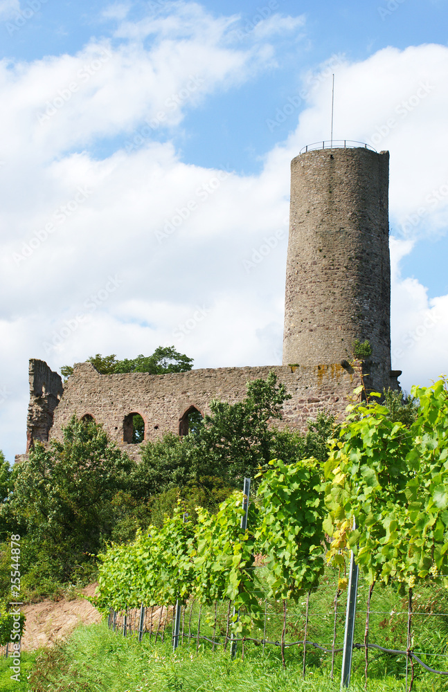 Alte Burgruine mit Weinberg - Old Castle