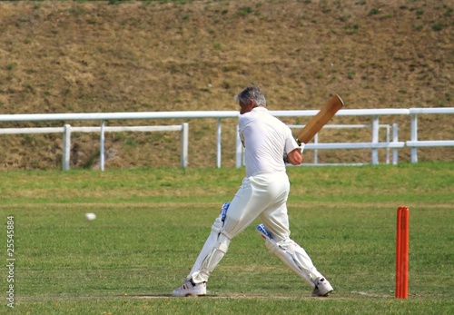 cricket