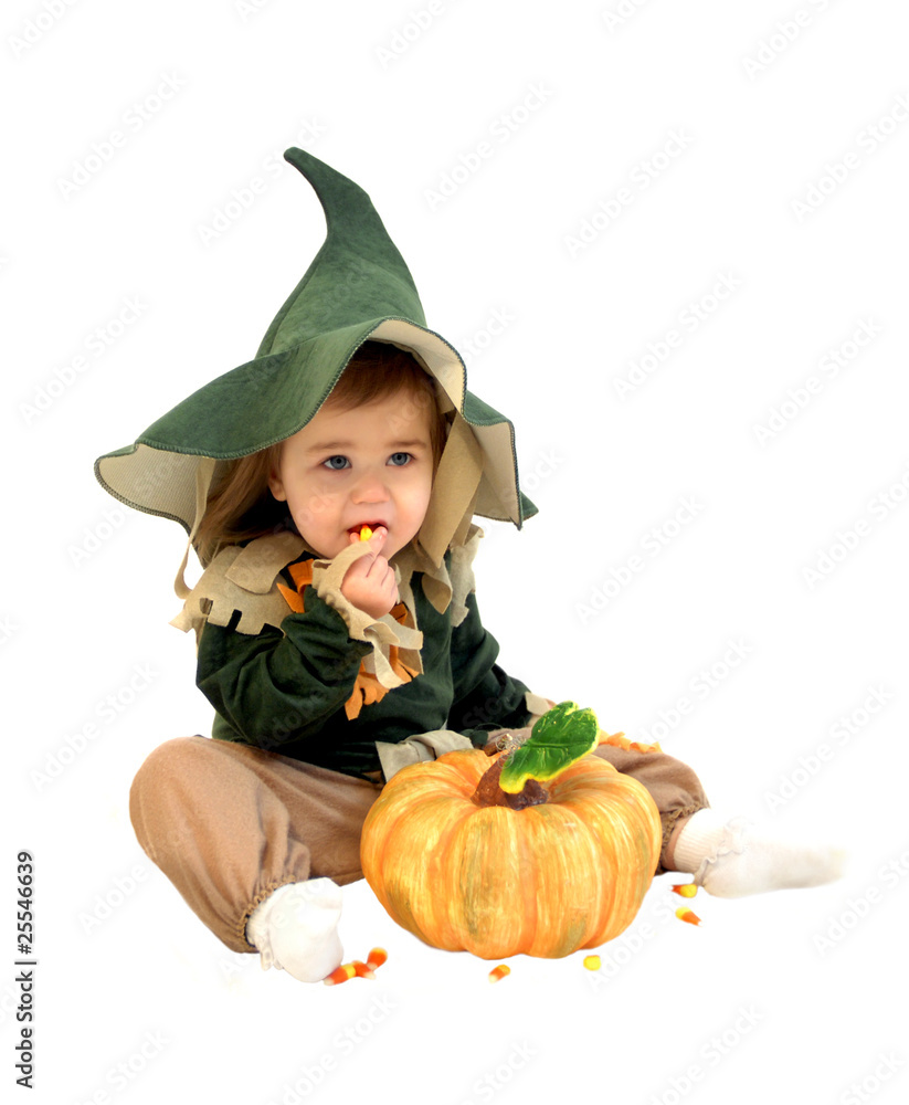 Corn eating Scarecrow Corn eating Scarecrow