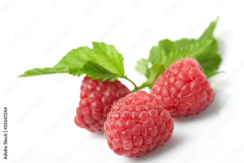 fresh raspberries on the white fresh raspberries on the white