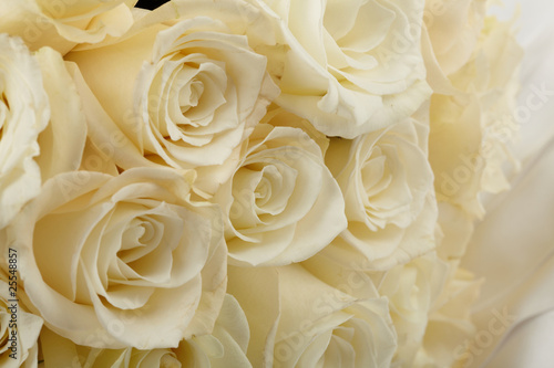 White roses © fox17