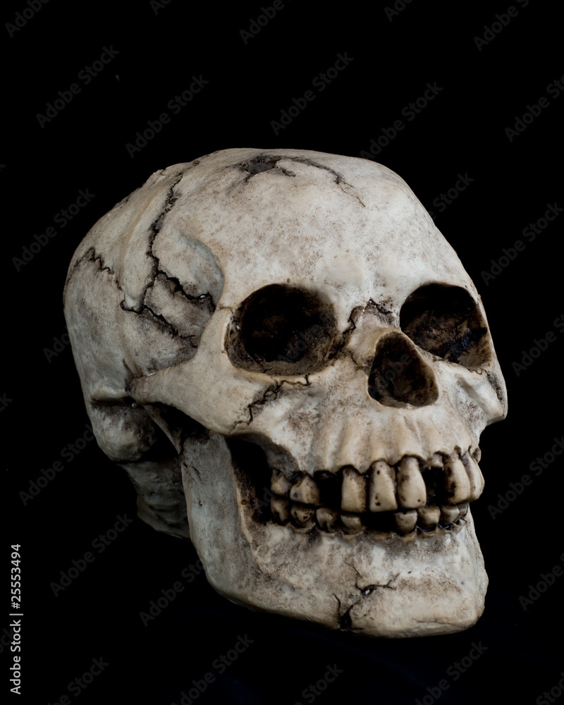 Obraz premium Human Skull on Black Background