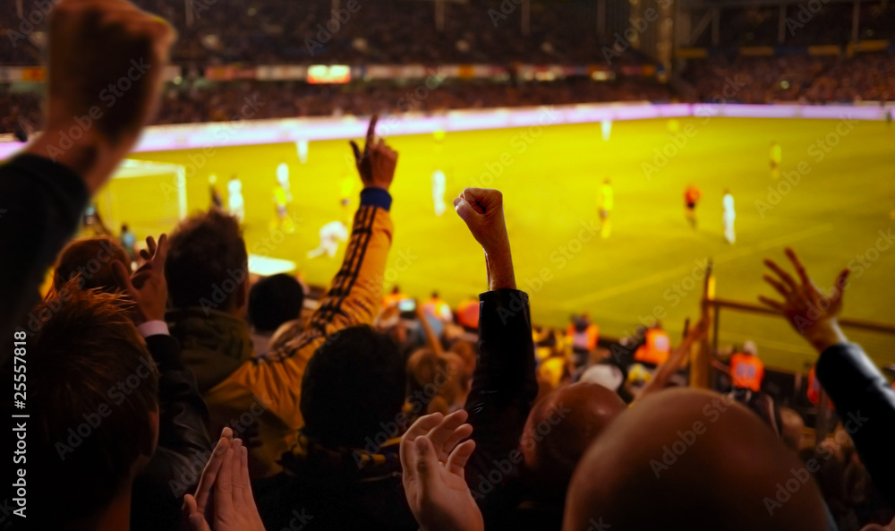 Naklejka premium Football Excitement