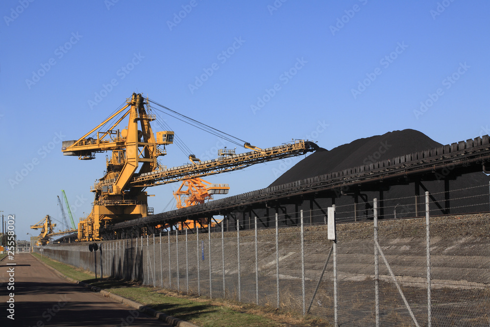 Coal Conveyor Belt