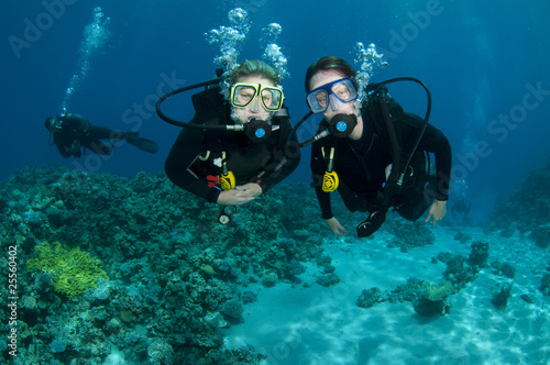 scuba divers on a dive