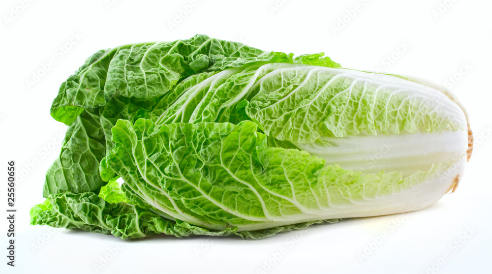 Chinese Cabbage Chinese Cabbage