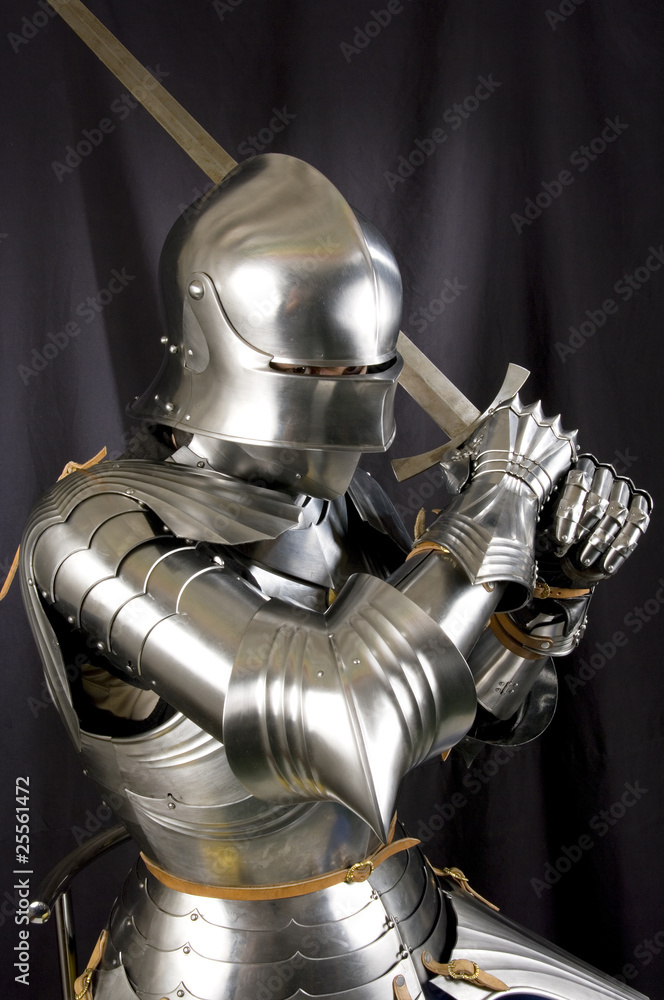 Fototapeta premium Armour