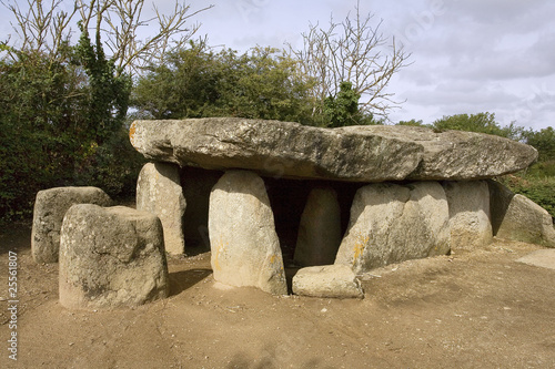 france,85 : dolmen de la frebouchere