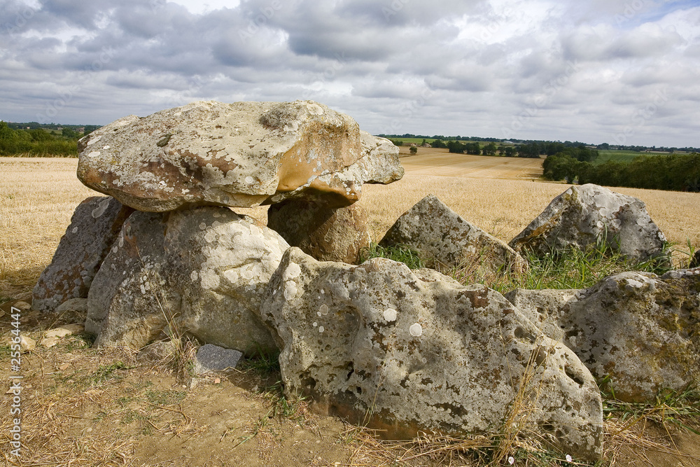 france; 85 : dolmen de salvatole