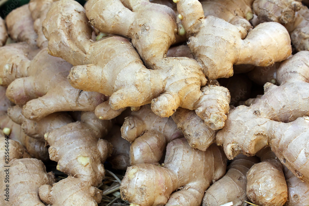 Ginseng Ginseng