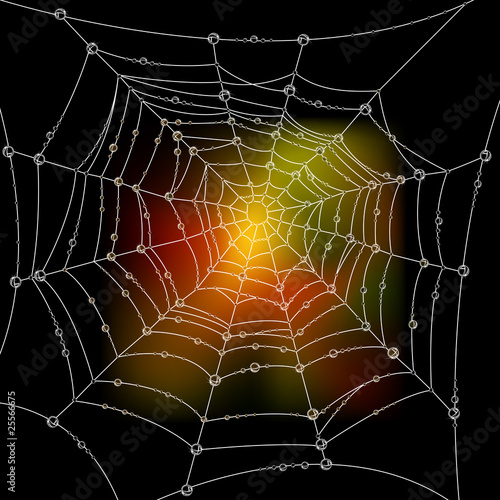 Autumn background with a spider's web