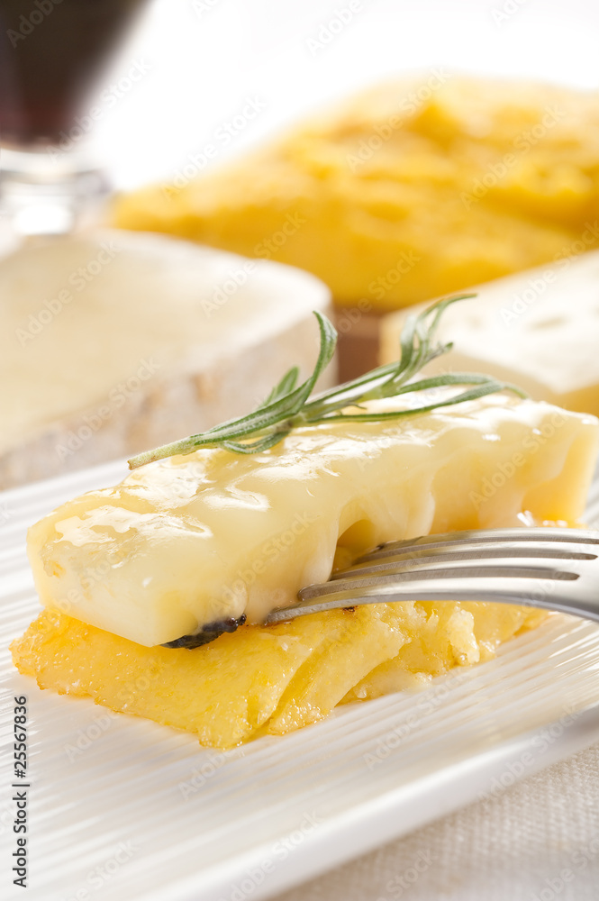 grilled polenta with cheese- polenta grigliata e formaggio grilled polenta with cheese- polenta grigliata e formaggio