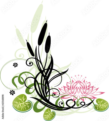 Lotus, Lotusblüte, Wellness, Seerose, Schilf, Yoga