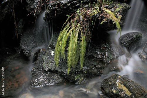 Arroyo de la Zambrana photo