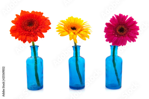 Row blue glass vases with colorful Gerber