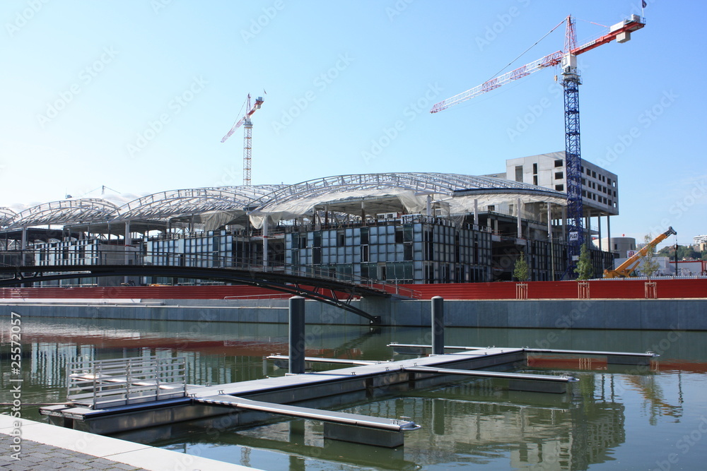chantier des confluences, Lyon