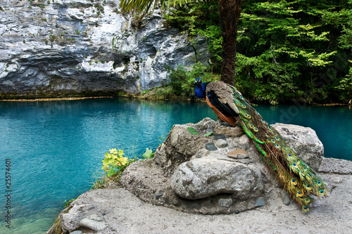 a fantastic scenery