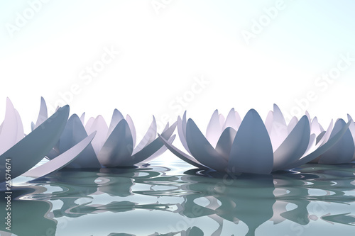 Zen loto flowers in water