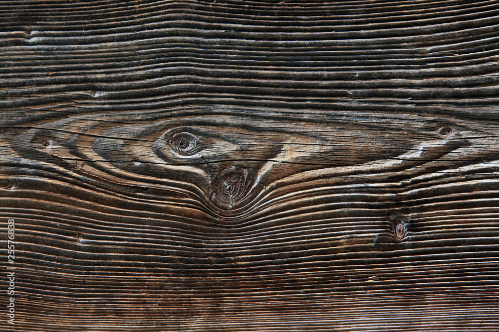 Fototapeta premium Maserung - wood graining