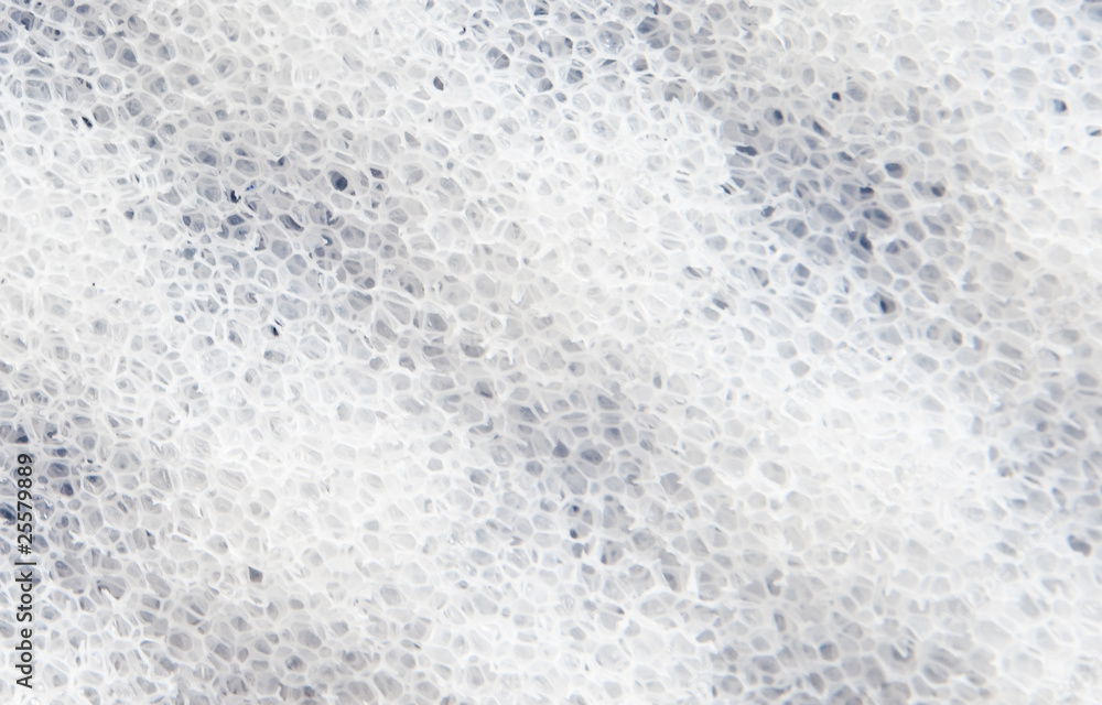 Obraz premium sponge