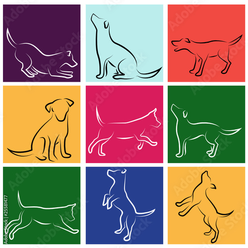 dog series