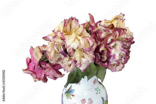 Wither roses