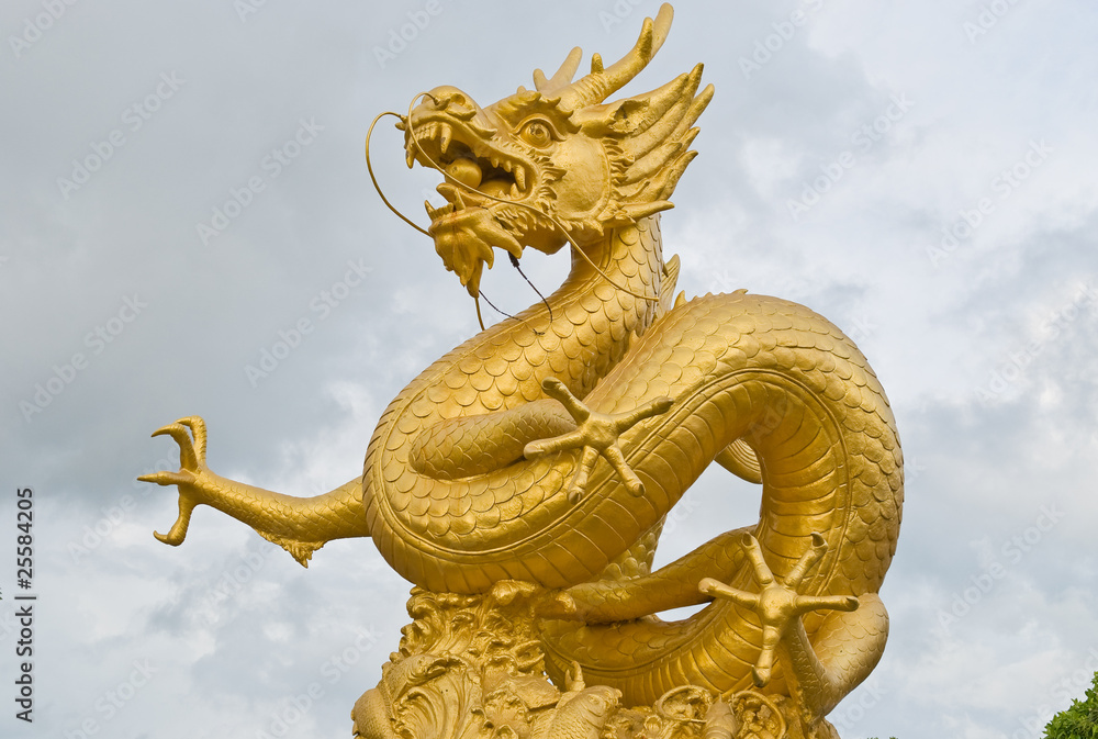 Fototapeta premium gold dragon