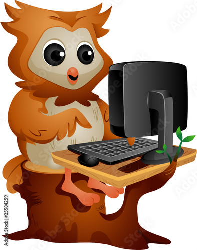Owl Using Computer
