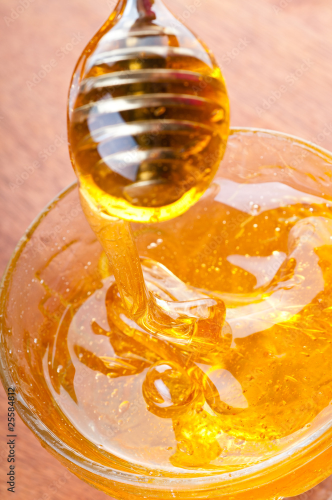 honey dipper honey dipper