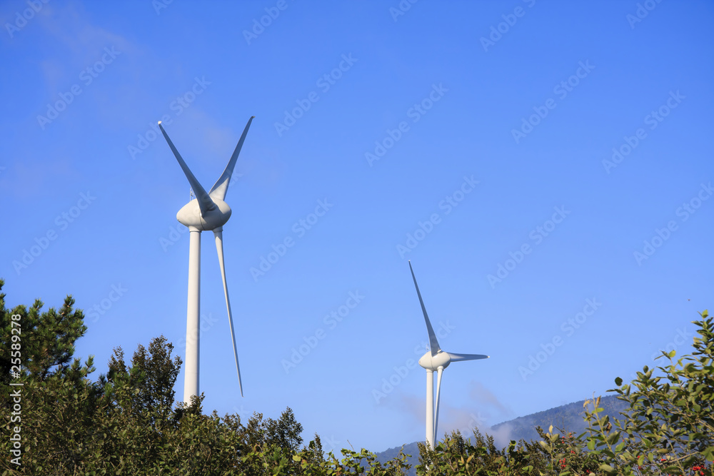 Generatori Eolici - wind generetors Generatori Eolici - wind generetors
