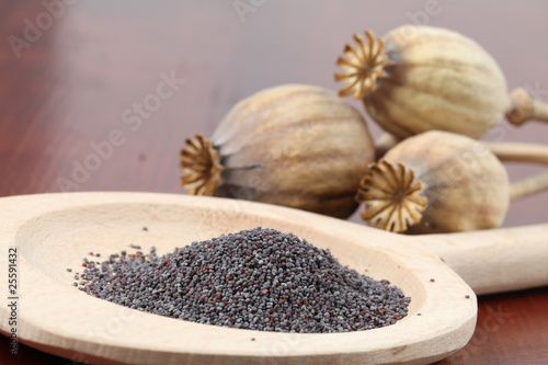 Tableau sur toile Poppy seeds