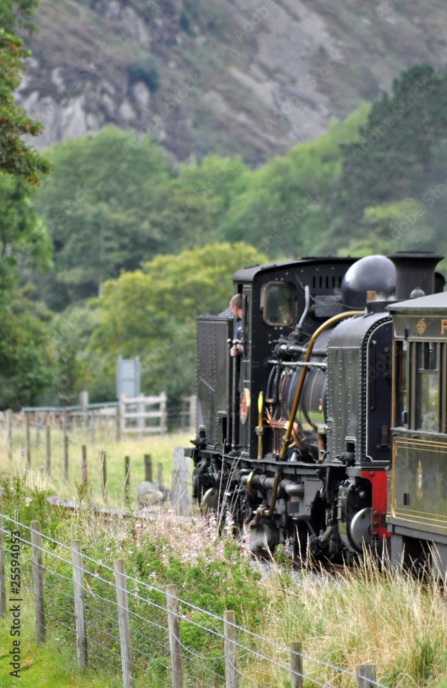 Fototapeta premium Steam engine