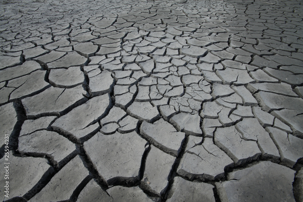 arid lands with cracks