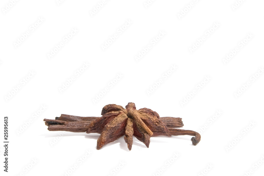Illicium and Vanilla isolated on white