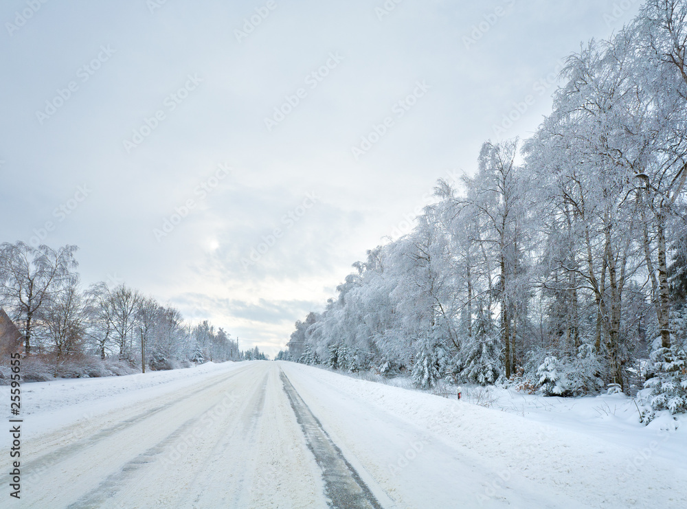 winter country road