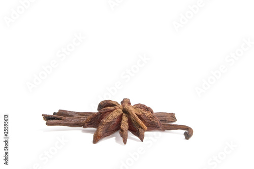 Obraz na płótnie Illicium and Vanilla isolated on white w salonie