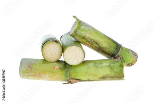 Stumps Of green Sugarcane On White Background