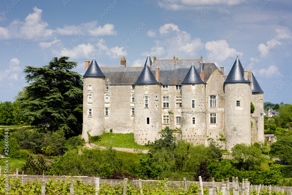 Luynes Castle with vineyard, Indre-et-Loire, Centre, France