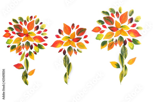 Beautiful decoration made from multicolored autumn leaves