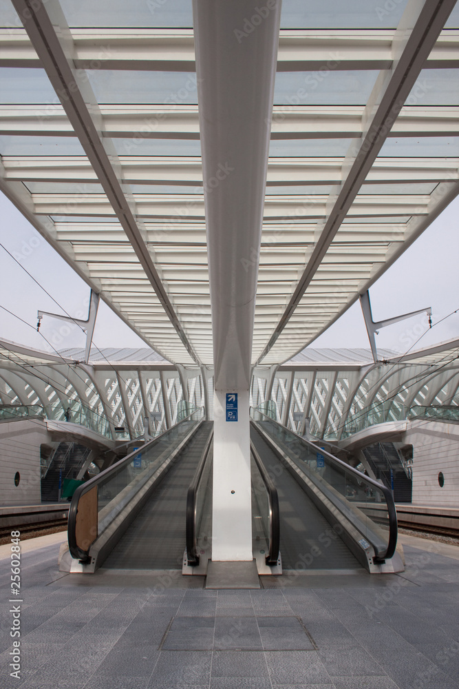 Fototapeta premium Moderne Rolltreppe