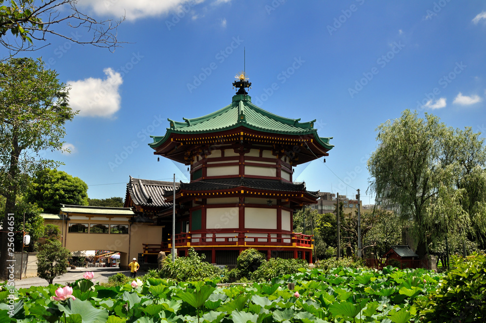 Fototapeta premium ueno 2