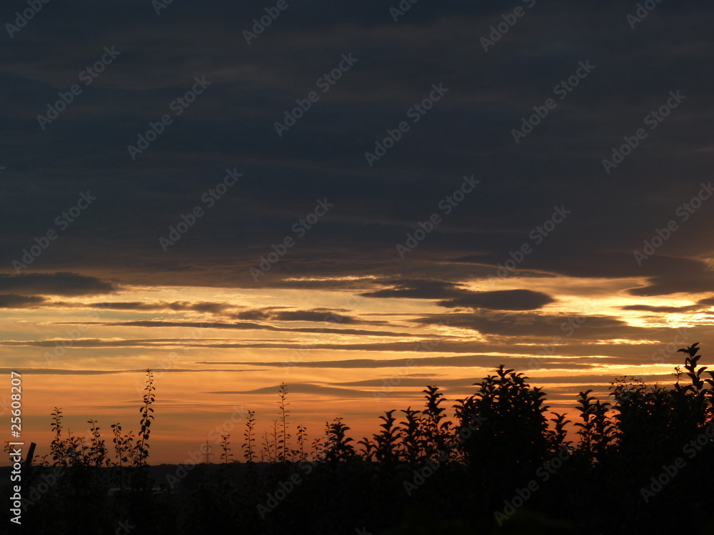 Fototapeta premium Amazing sunset15