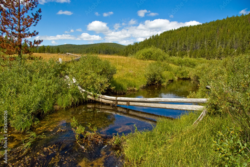 Fototapeta premium Ogrodzenie nad Creek