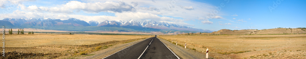 Naklejka premium Road in the mountain steppes