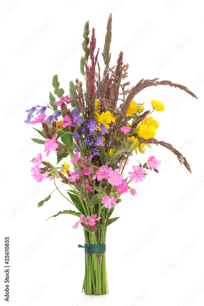 Fototapeta premium Wild Flower Posy