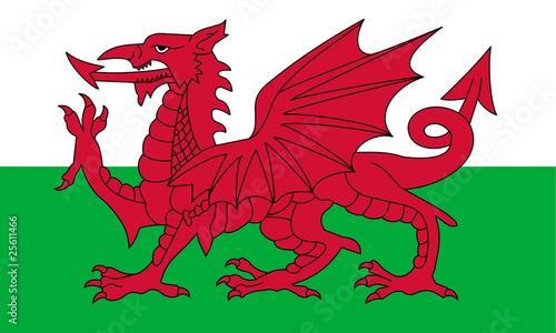 Slika na platnu Wales Flag