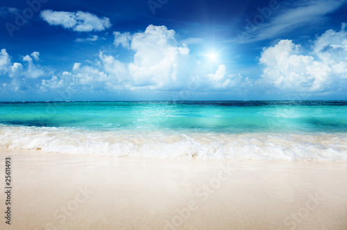 Fototapeta Naklejka Na Ścianę i Meble -  sand of beach caribbean sea